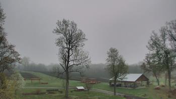 Weather camera view of Dodon Vineyards.