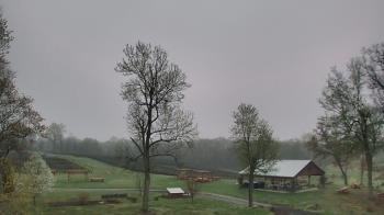 Weather camera view of Dodon Vineyards.