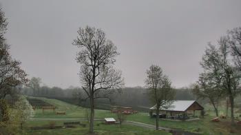 Weather camera view of Dodon Vineyards.