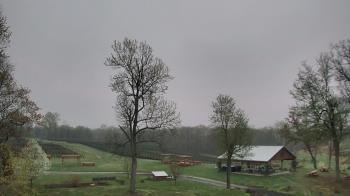 Weather camera view of Dodon Vineyards.