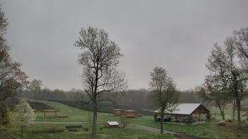 Weather camera view of Dodon Vineyards.