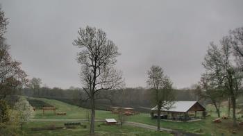 Weather camera view of Dodon Vineyards.