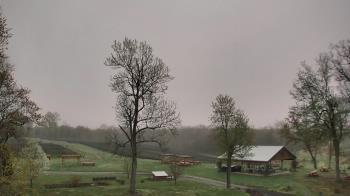 Weather camera view of Dodon Vineyards.