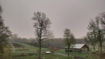 Weather camera view of Dodon Vineyards.