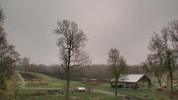 Weather camera view of Dodon Vineyards.