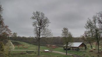 Weather camera view of Dodon Vineyards.