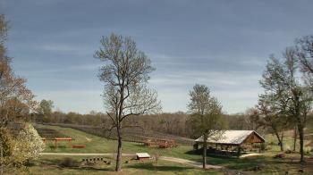 Weather camera view of Dodon Vineyards.