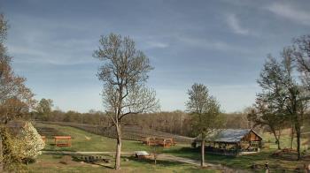 Weather camera view of Dodon Vineyards.