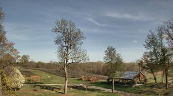 Weather camera view of Dodon Vineyards.