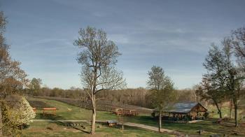 Weather camera view of Dodon Vineyards.