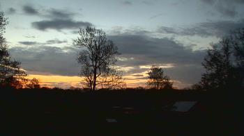 Weather camera view of Dodon Vineyards.