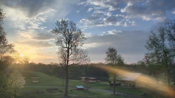 Weather camera view of Dodon Vineyards.