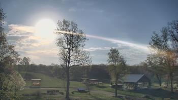 Weather camera view of Dodon Vineyards.