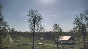 Weather camera view of Dodon Vineyards.