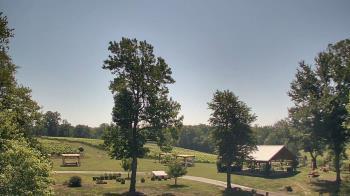 Weather camera view of Dodon Vineyards.