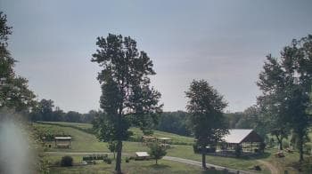 Weather camera view of Dodon Vineyards.