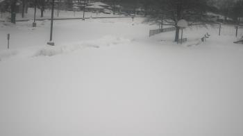 Weather camera view of Terrace Elementary School.