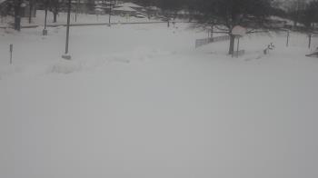 Weather camera view of Terrace Elementary School.