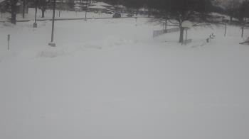 Weather camera view of Terrace Elementary School.