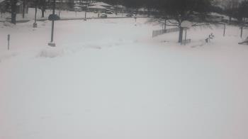 Weather camera view of Terrace Elementary School.