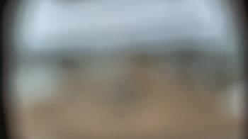 Weather camera view of Dupree School.