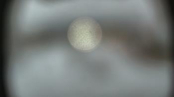 Weather camera view of Dupree School.