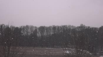 Weather camera view of Mary of Nazareth School.