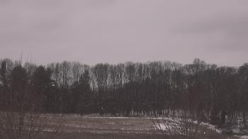 Weather camera view of Mary of Nazareth School.