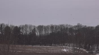 Weather camera view of Mary of Nazareth School.