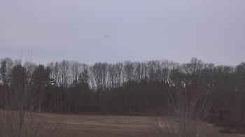 Weather camera view of Mary of Nazareth School.