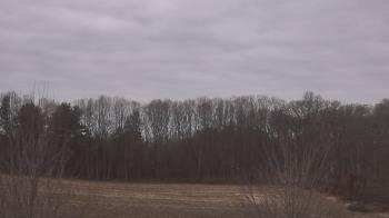 Weather camera view of Mary of Nazareth School.