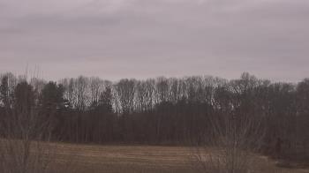 Weather camera view of Mary of Nazareth School.