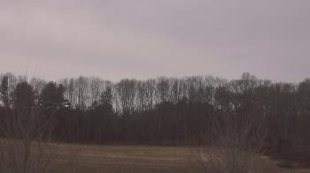 Weather camera view of Mary of Nazareth School.