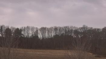 Weather camera view of Mary of Nazareth School.