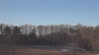 Weather camera view of Mary of Nazareth School.