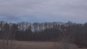 Weather camera view of Mary of Nazareth School.