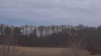 Weather camera view of Mary of Nazareth School.