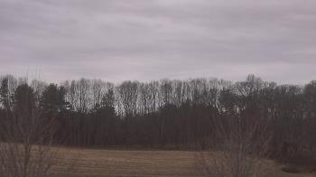 Weather camera view of Mary of Nazareth School.