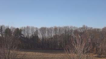 Weather camera view of Mary of Nazareth School.