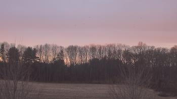 Weather camera view of Mary of Nazareth School.