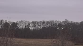 Weather camera view of Mary of Nazareth School.