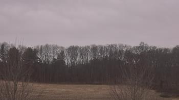 Weather camera view of Mary of Nazareth School.