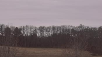 Weather camera view of Mary of Nazareth School.