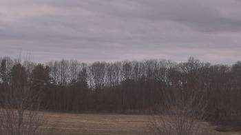 Weather camera view of Mary of Nazareth School.