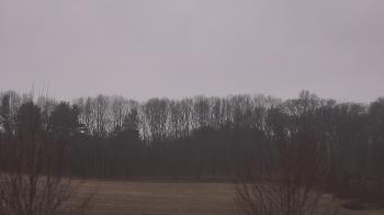 Weather camera view of Mary of Nazareth School.