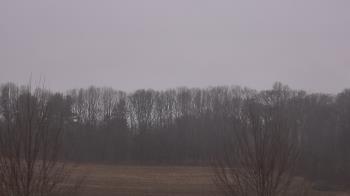 Weather camera view of Mary of Nazareth School.