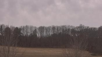 Weather camera view of Mary of Nazareth School.