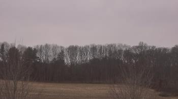 Weather camera view of Mary of Nazareth School.