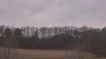 Weather camera view of Mary of Nazareth School.