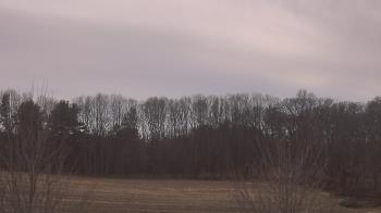 Weather camera view of Mary of Nazareth School.